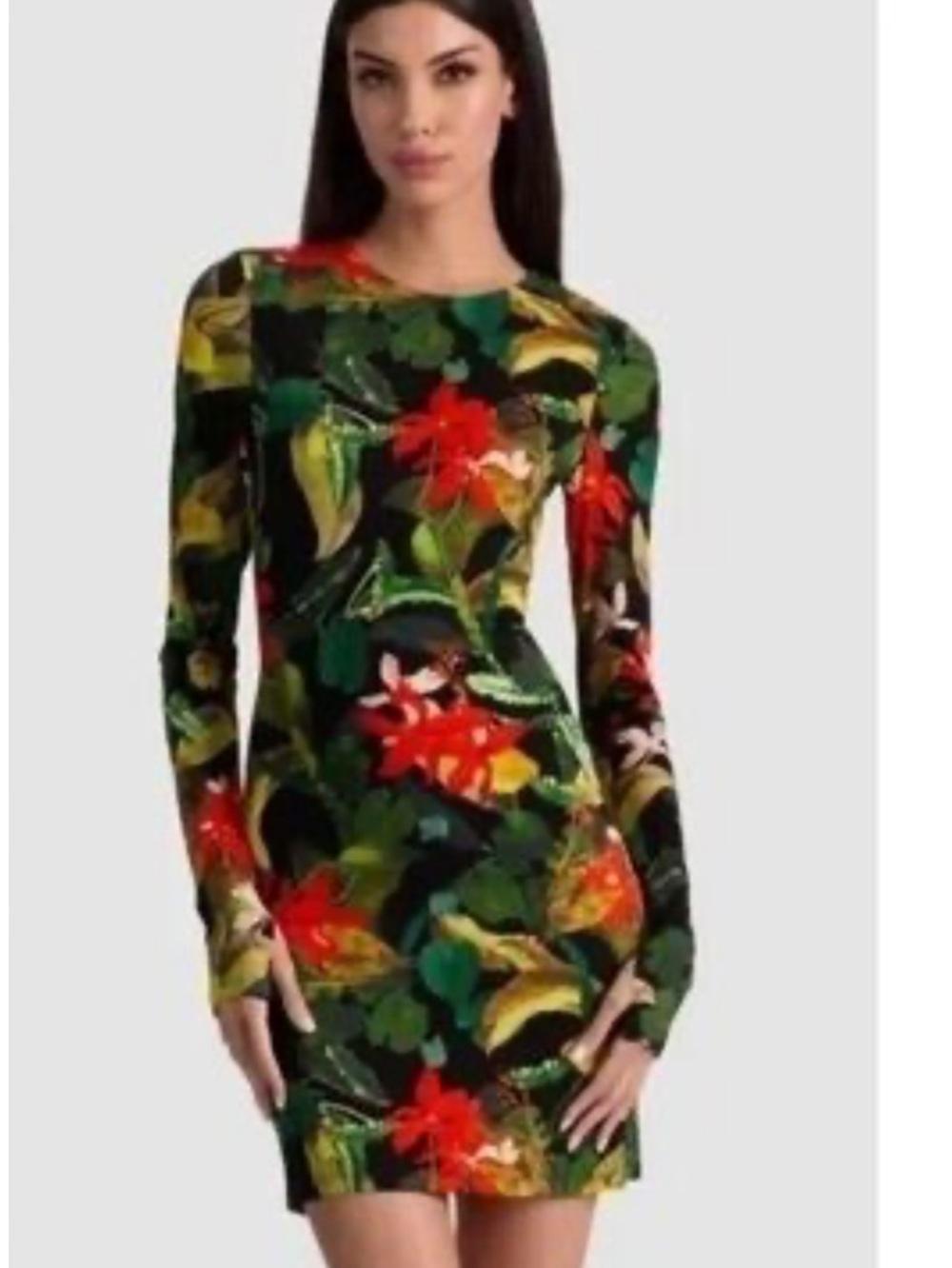 Alice + Olivia Green Floral Turtleneck Long-Sleeve Dress with Red Accents